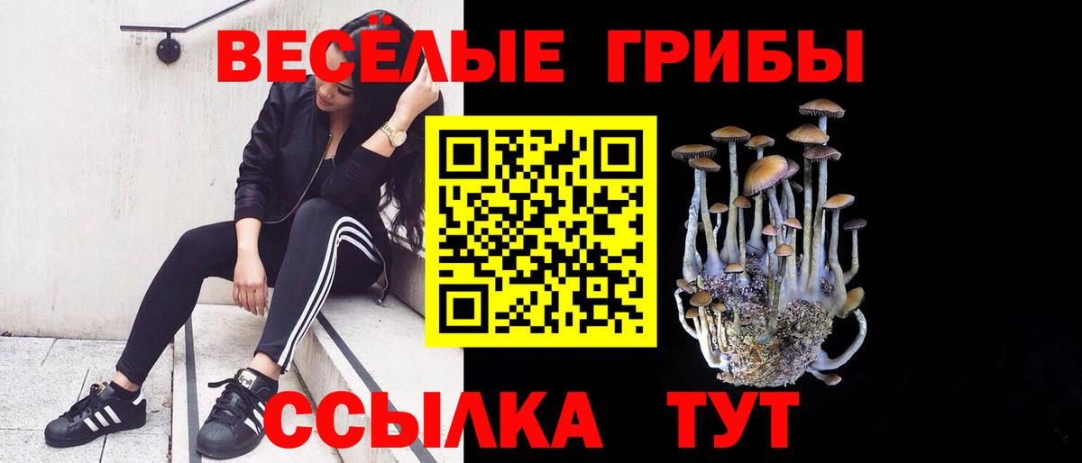 Галлюциногенные грибы прущие грибы  Псилоцибиновые грибы MAGIC MUSHROOMS  Асбест  Вход с VPN 